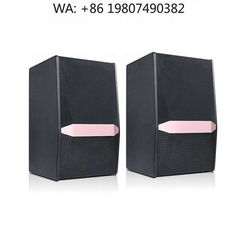 Woofer - 800W Spitzenleistung 10-Zoll-Tieftöner Komplettset Professionelles Sound-Verstärkersystem