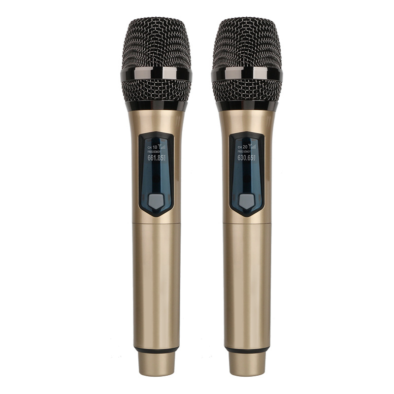 Ribbon Microphone - Drahtloses Mikrofon, 2 Kanäle, UHF, Dual-Handmikrofon,