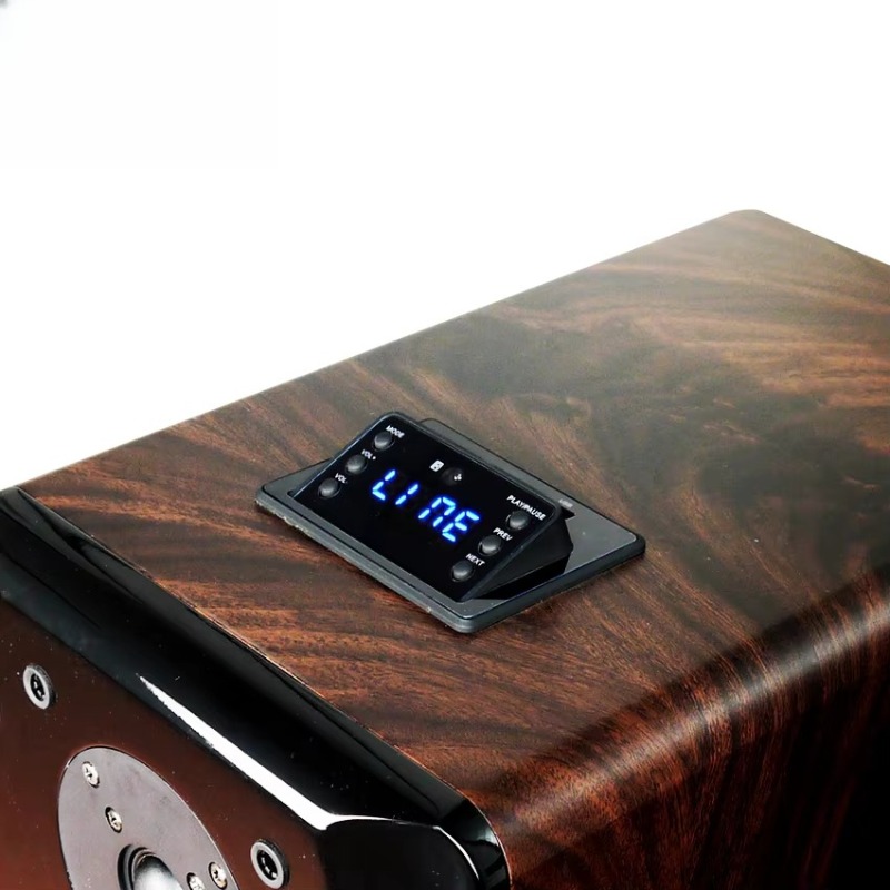 Hochleistungs-Aktiv-Karaoke-Bo – Woofer Bewertung und Preis