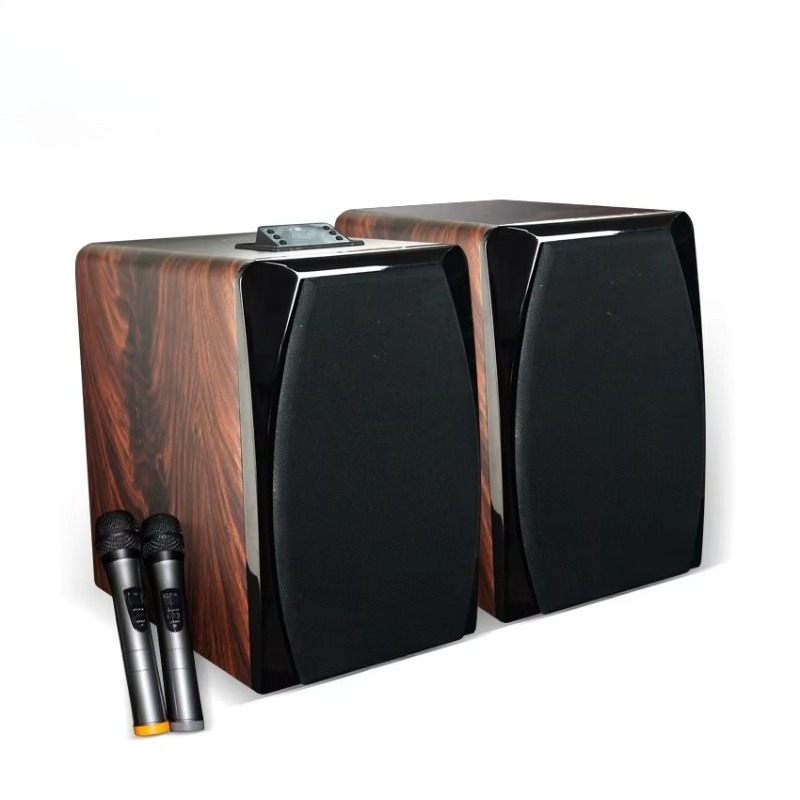 Hochleistungs-Aktiv-Karaoke-Bo – Woofer Bewertung und Preis
