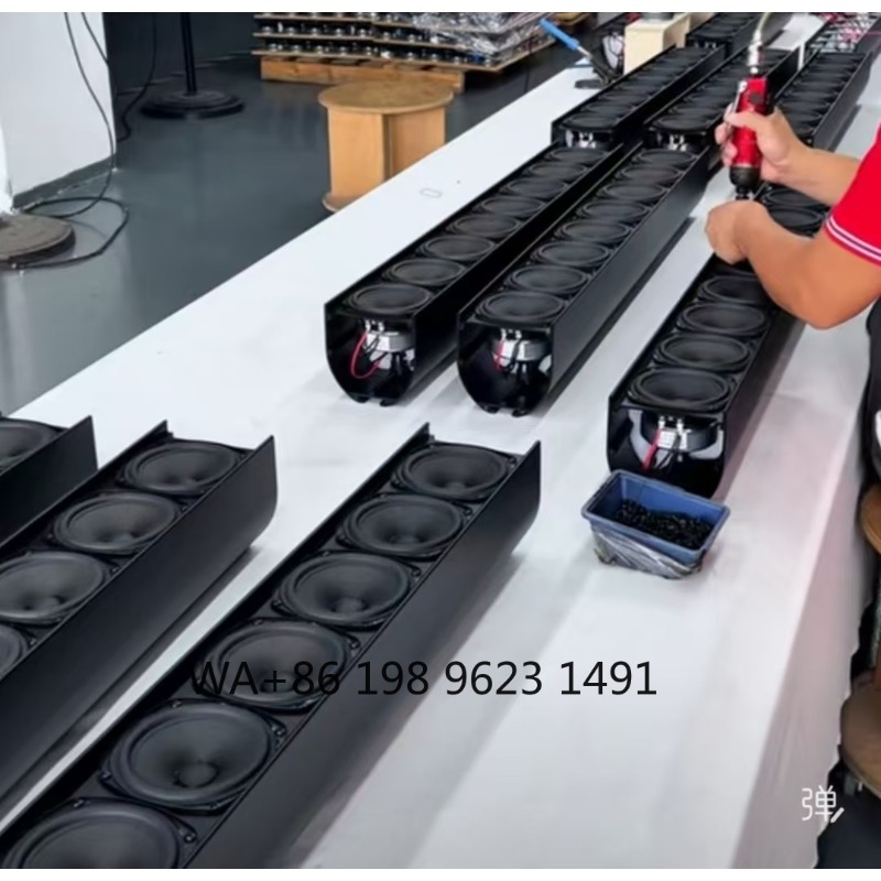18 Zoll 2200W Aktiver Woofer D – Woofer Bewertung und Preis