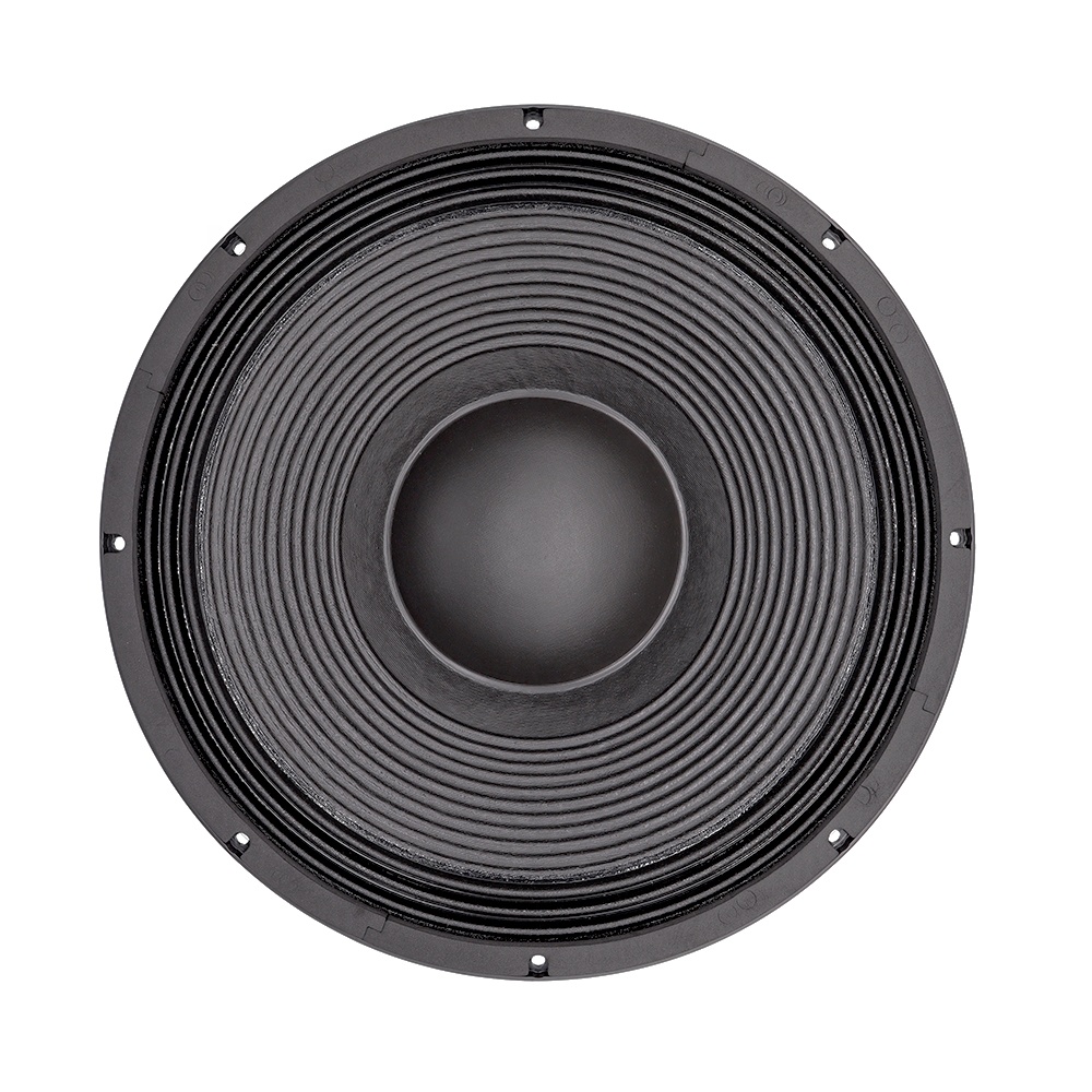 21'' Professionelles Audiosyst – Subwoofer Bewertung und Preis